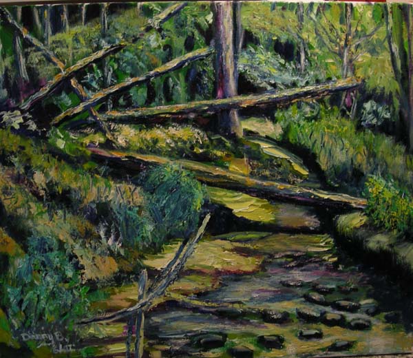 Snot's Creek - Fallen Timber