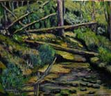 Snot's Creek - Fallen Timber