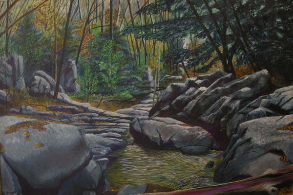 White Oak Canyon - Downstream